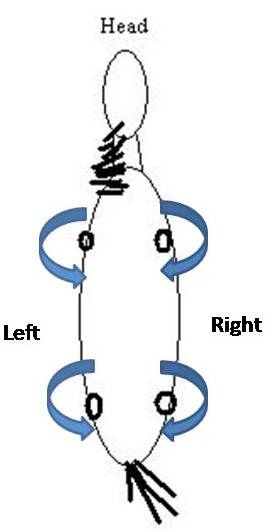 leg wrap direction diagram